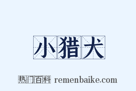 小猎犬是什么意思的图片